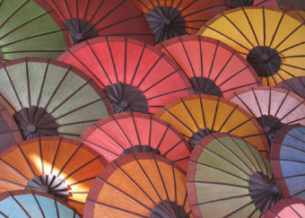 Freyberg_Parasols.jpg