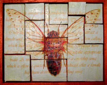 cicada.jpg